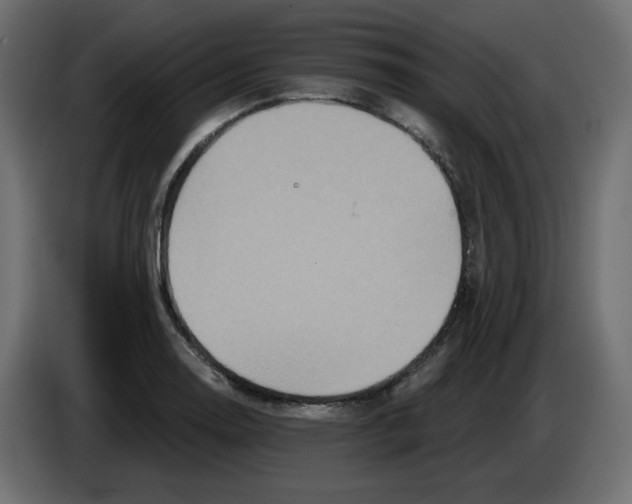 X0000084521130200703231625