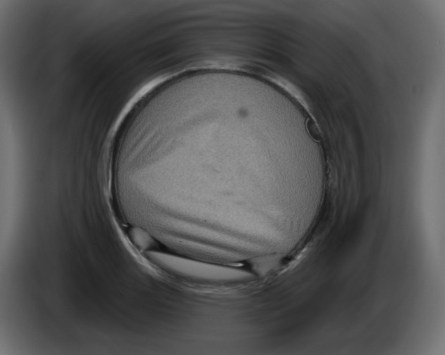 X0000084521131200703231625