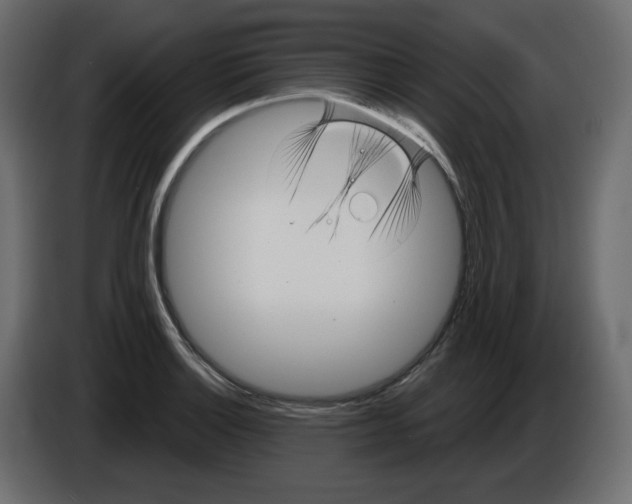X0000084521132200703231625