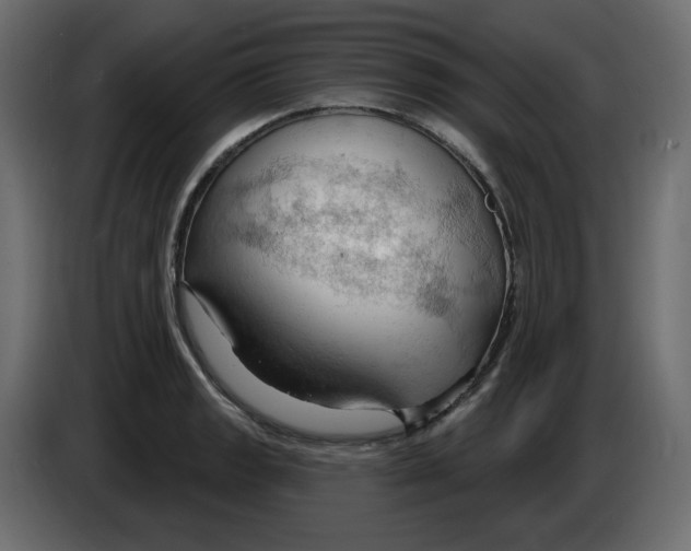X0000084521133200703231625