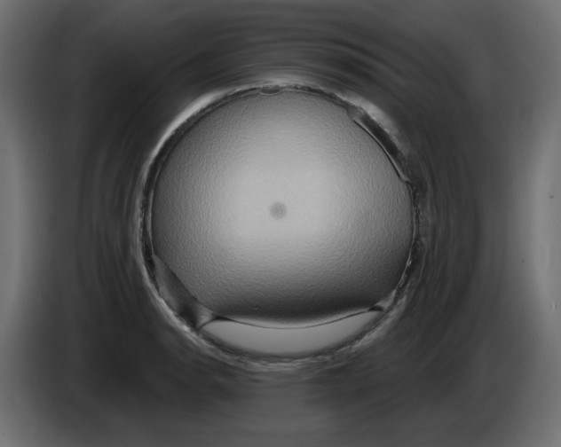 X0000084521134200703231625