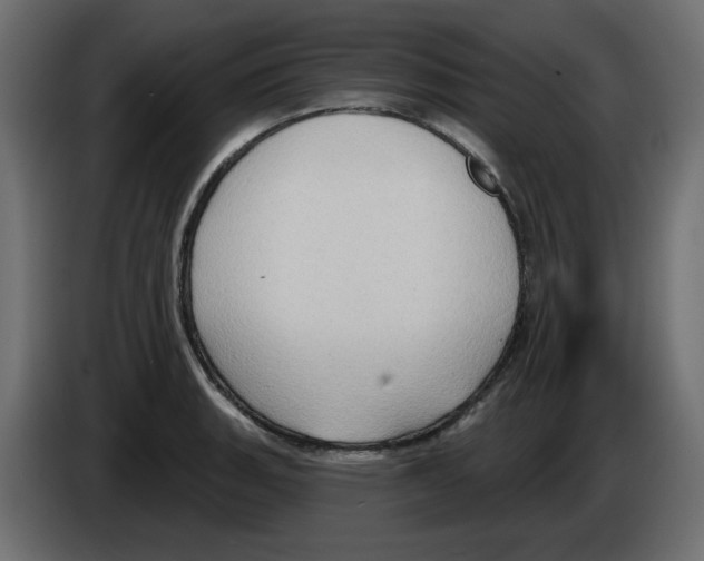 X0000084521135200703231625