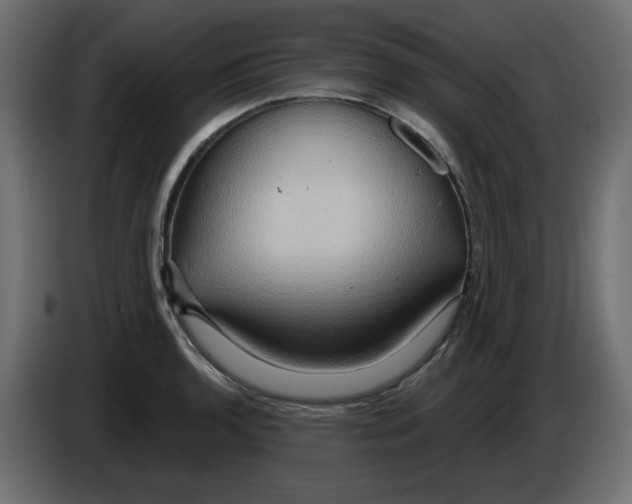X0000084521136200703231625