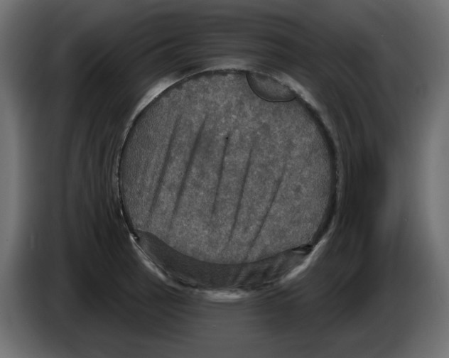 X0000084521137200703231625