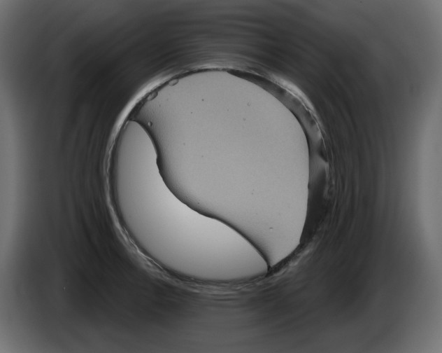 X0000084521138200703231625