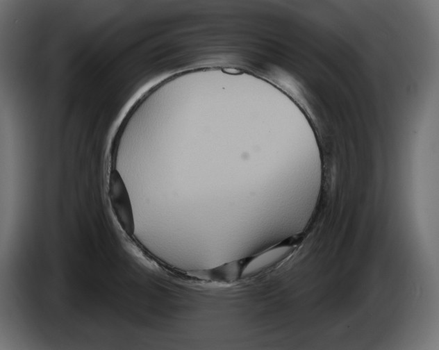 X0000084521140200703231625