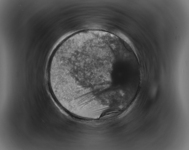 X0000084521141200703231625