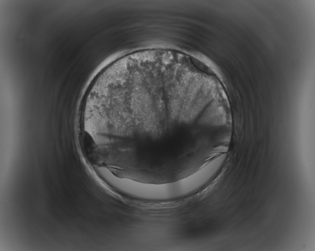 X0000084521142200703231625