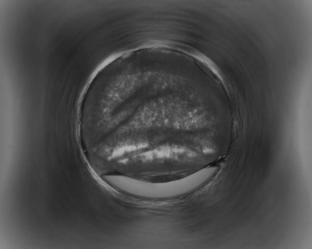 X0000084521143200703231625