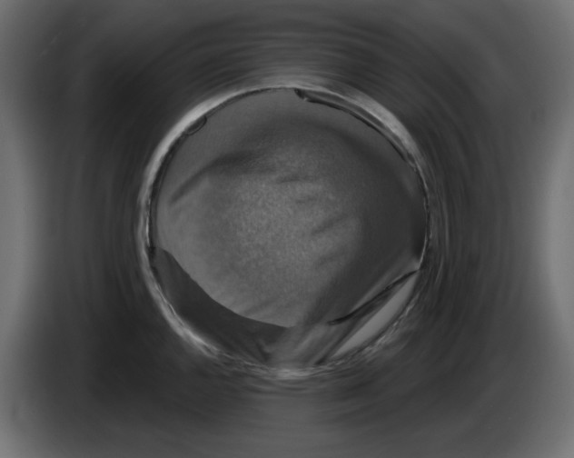 X0000084521144200703231625