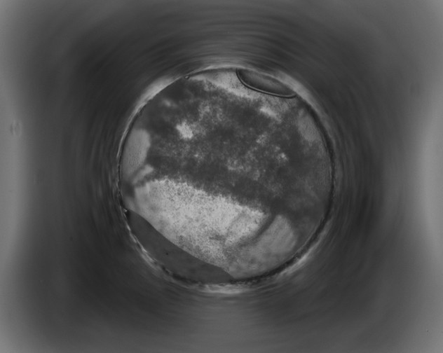 X0000084521145200703231625