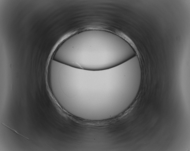 X0000084521146200703231625