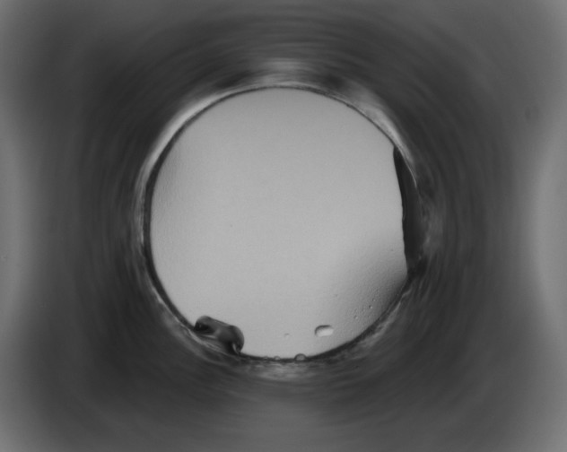 X0000084521148200703231625