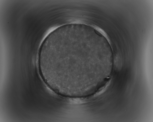 X0000084521149200703231625