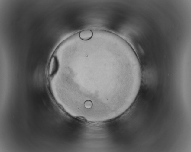X0000084521150200703231625