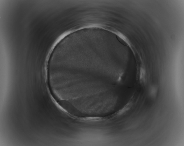X0000084521151200703231625