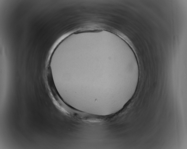X0000084521152200703231625