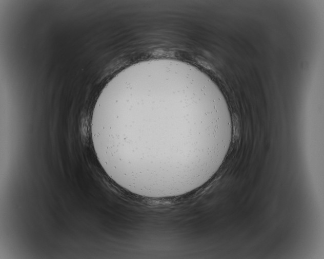 X0000084521154200703231624