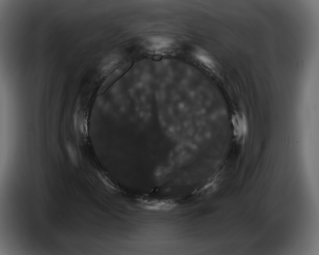 X0000084521155200703231624