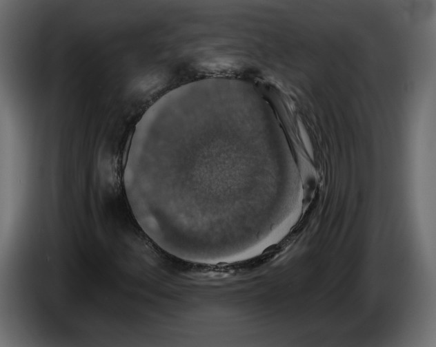 X0000084521156200703231624