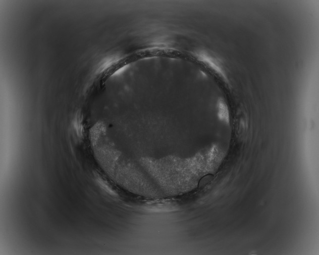 X0000084521159200703231624