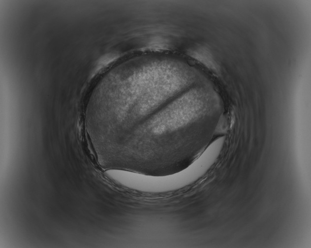 X0000084521160200703231624