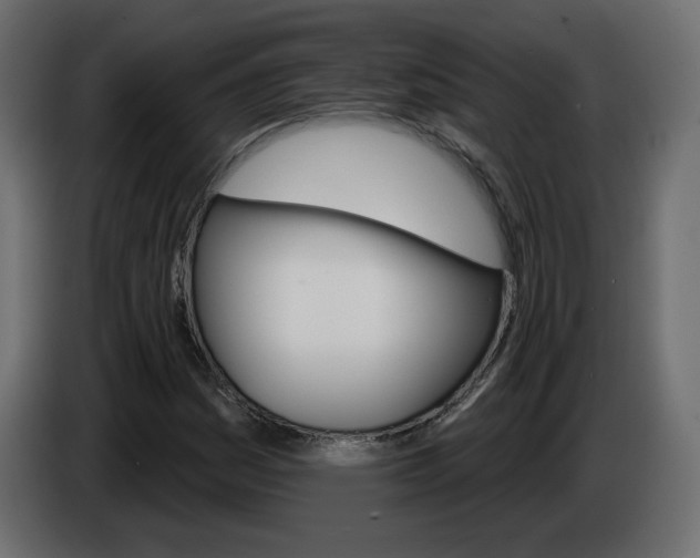 X0000084521161200703231624