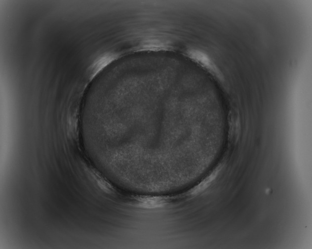 X0000084521162200703231624