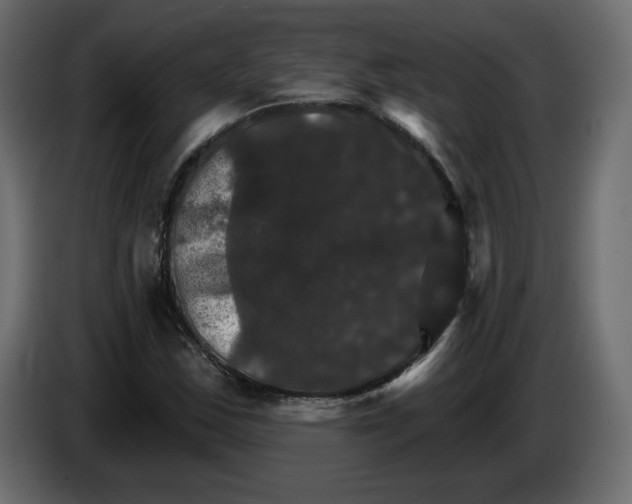 X0000084521163200703231624