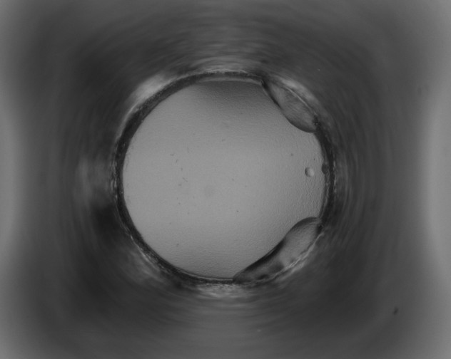 X0000084521164200703231624