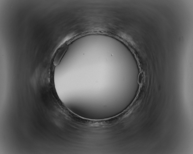 X0000084521165200703231624