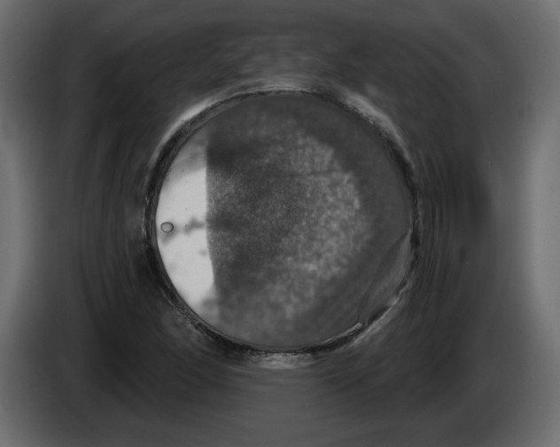 X0000084521166200703231624