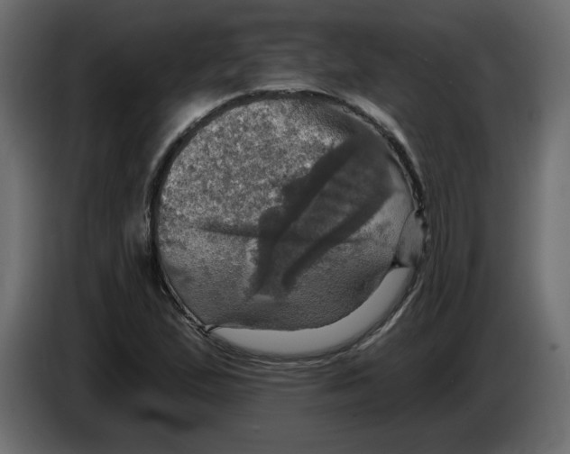X0000084521167200703231624