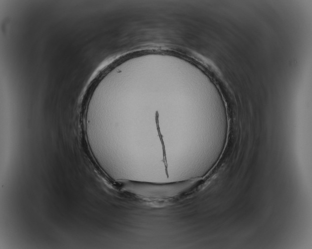 X0000084521168200703231624