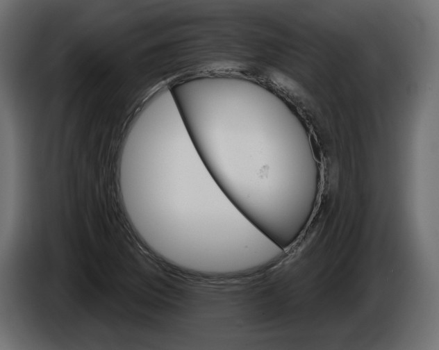 X0000084521169200703231624