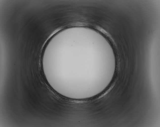 X0000084521170200703231624
