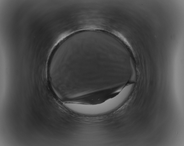 X0000084521173200703231624