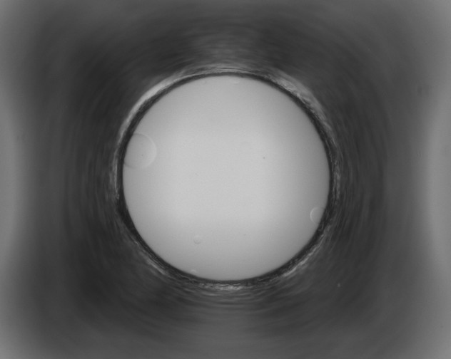 X0000084521174200703231624