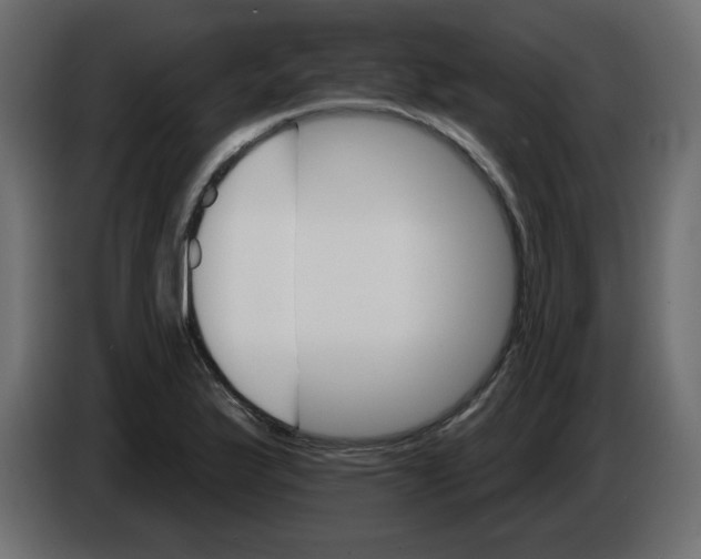 X0000084521175200703231624
