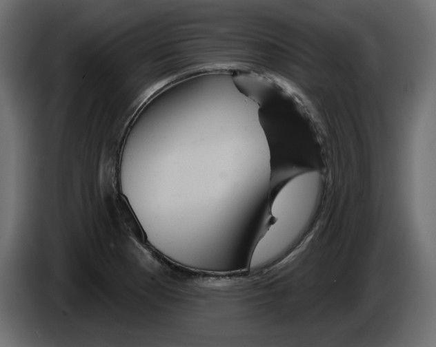 X0000084521177200703231624