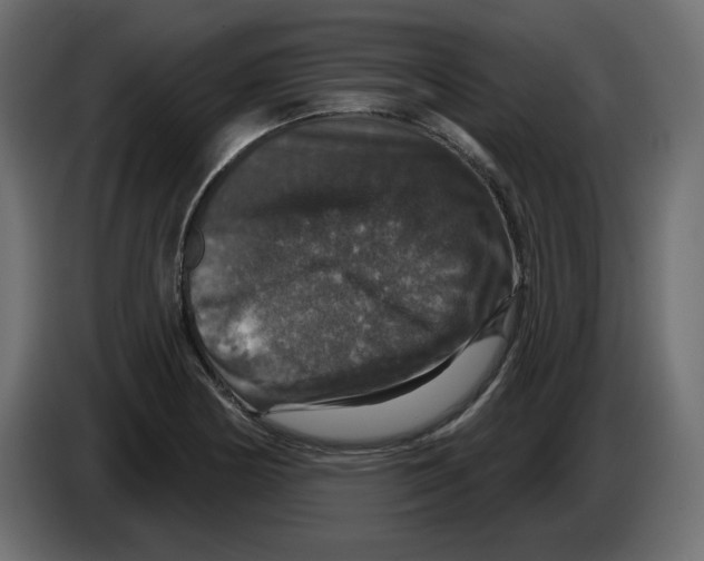 X0000084521178200703231624