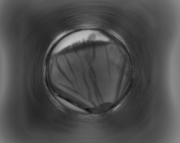 X0000084521179200703231624