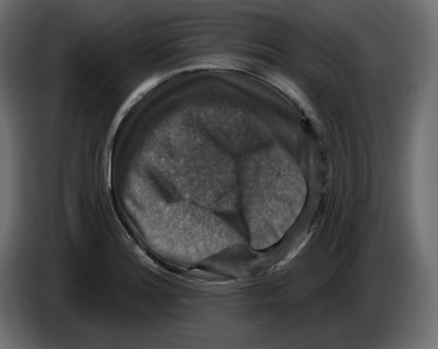 X0000084521180200703231624
