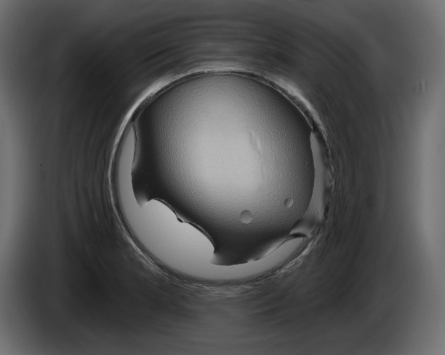X0000084521181200703231624