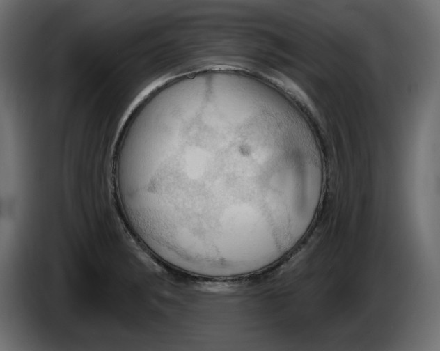 X0000084521182200703231624