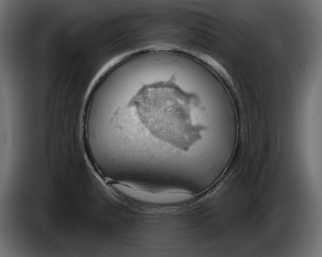 X0000084521183200703231624