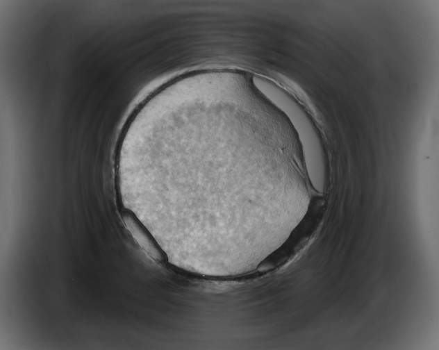 X0000084521184200703231624