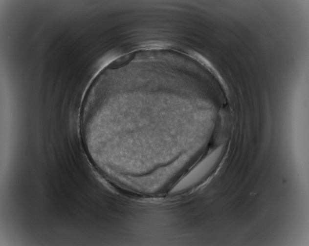 X0000084521186200703231624