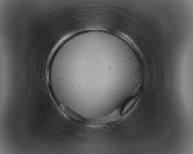 X0000084521188200703231624