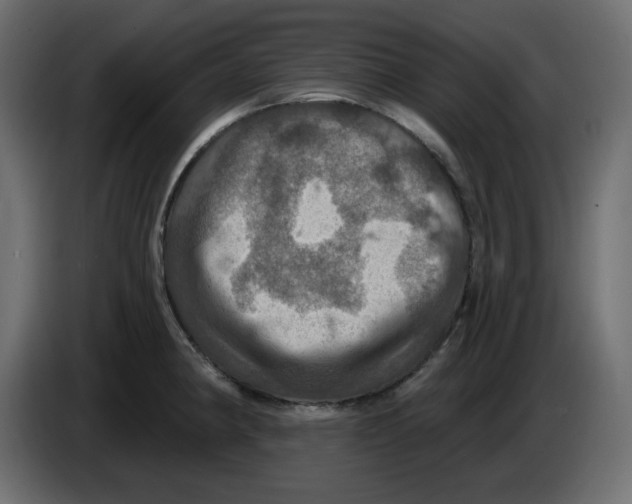 X0000084521190200703231624